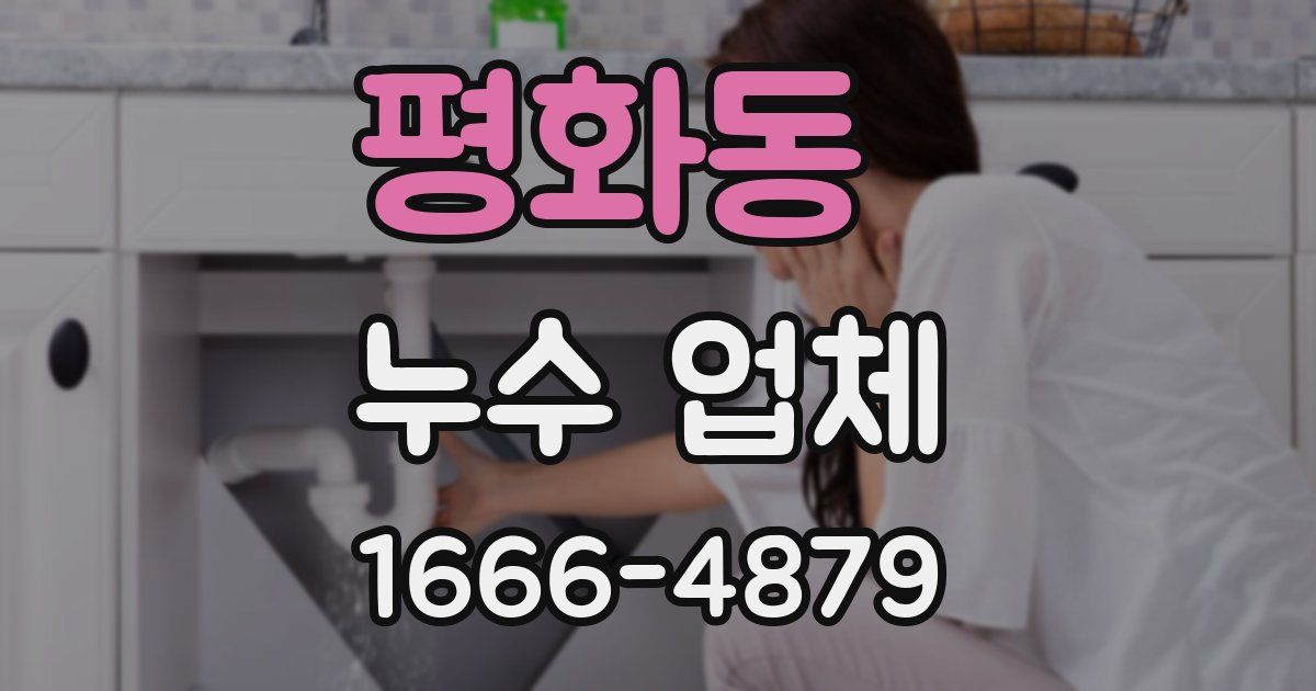 평화동 누수 업체
