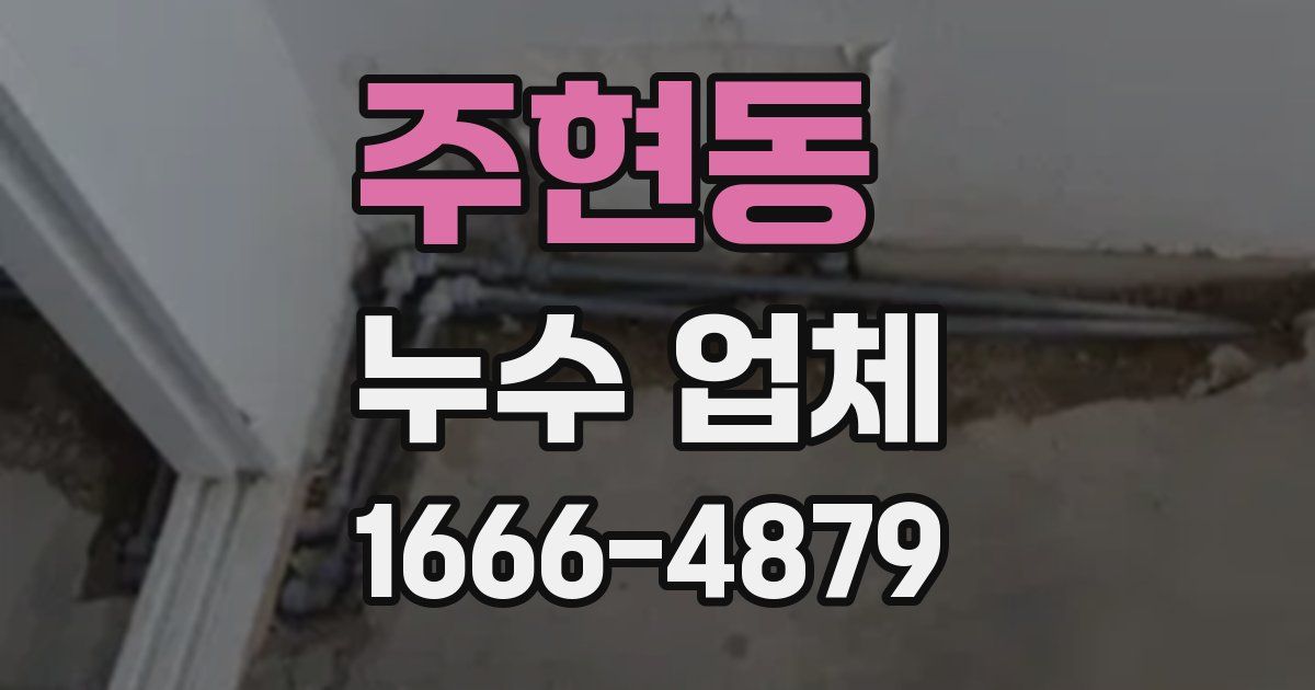 주현동 누수 업체