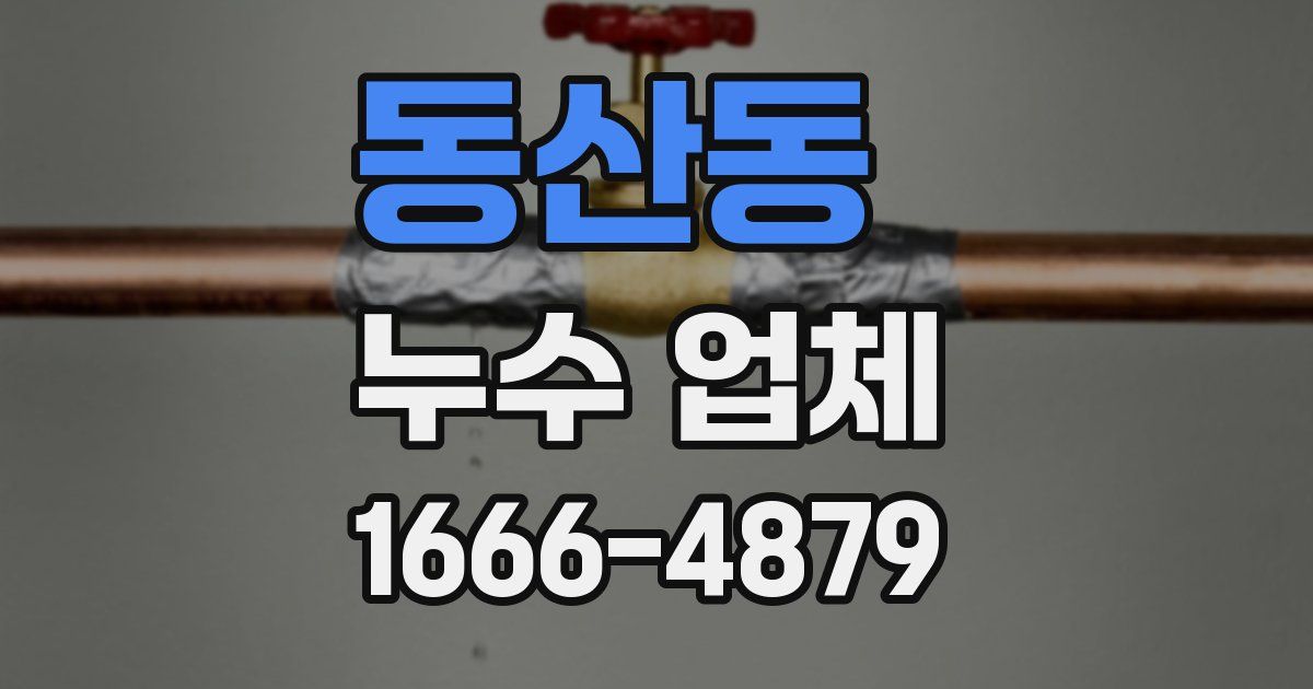 동산동 누수 업체
