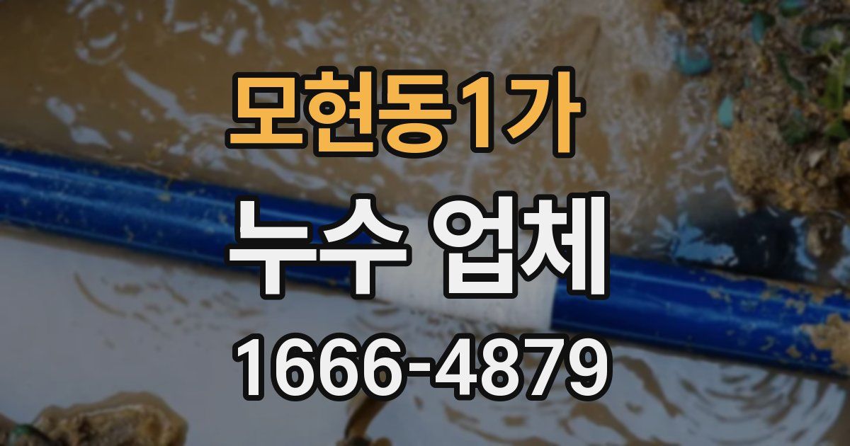 모현동1가 누수 업체