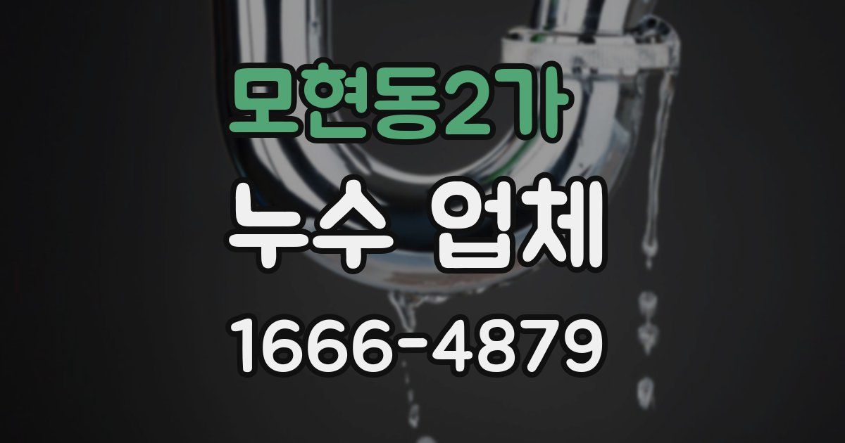 모현동2가 누수 업체