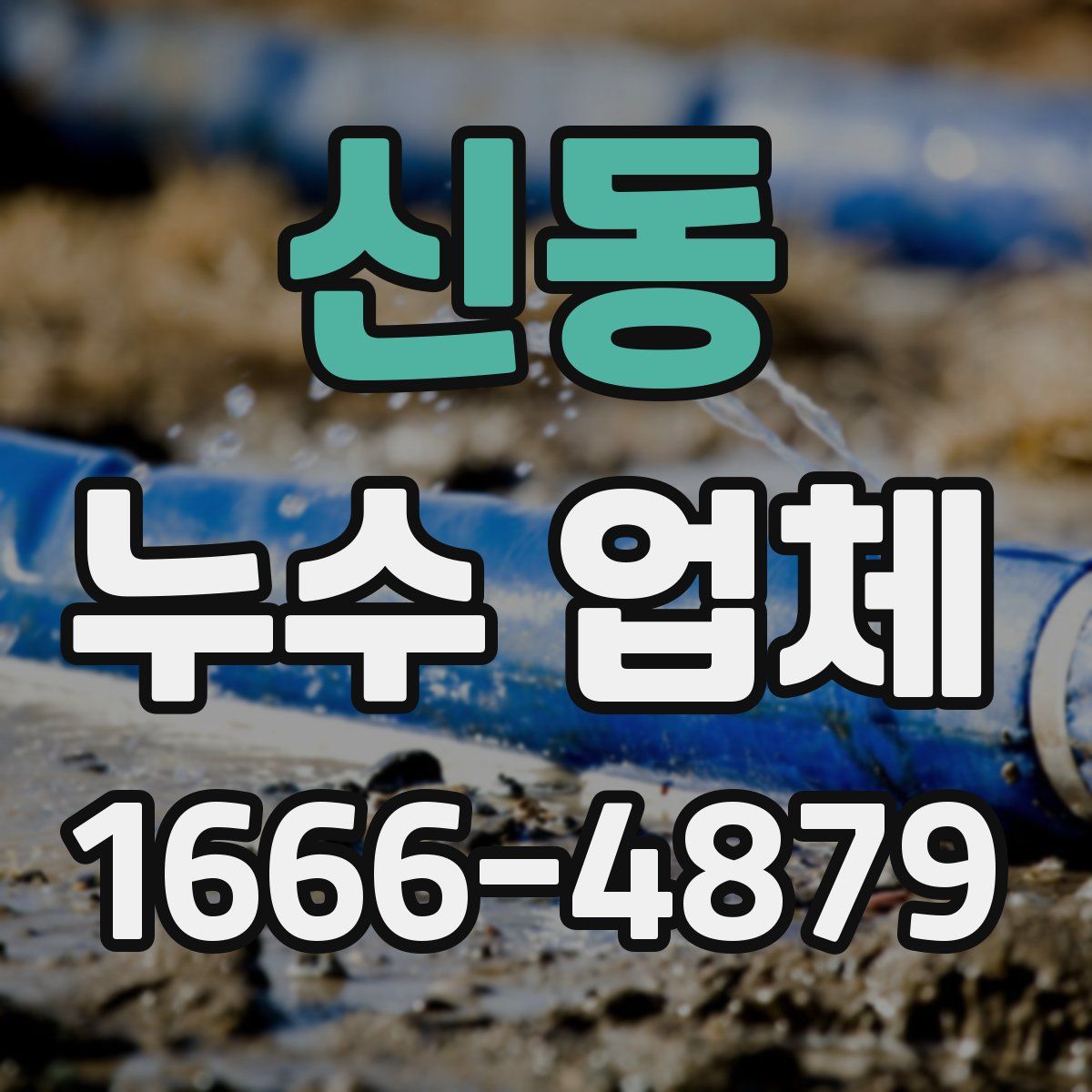 신동 누수 업체