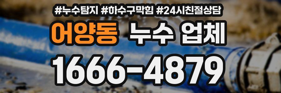 어양동 누수 업체