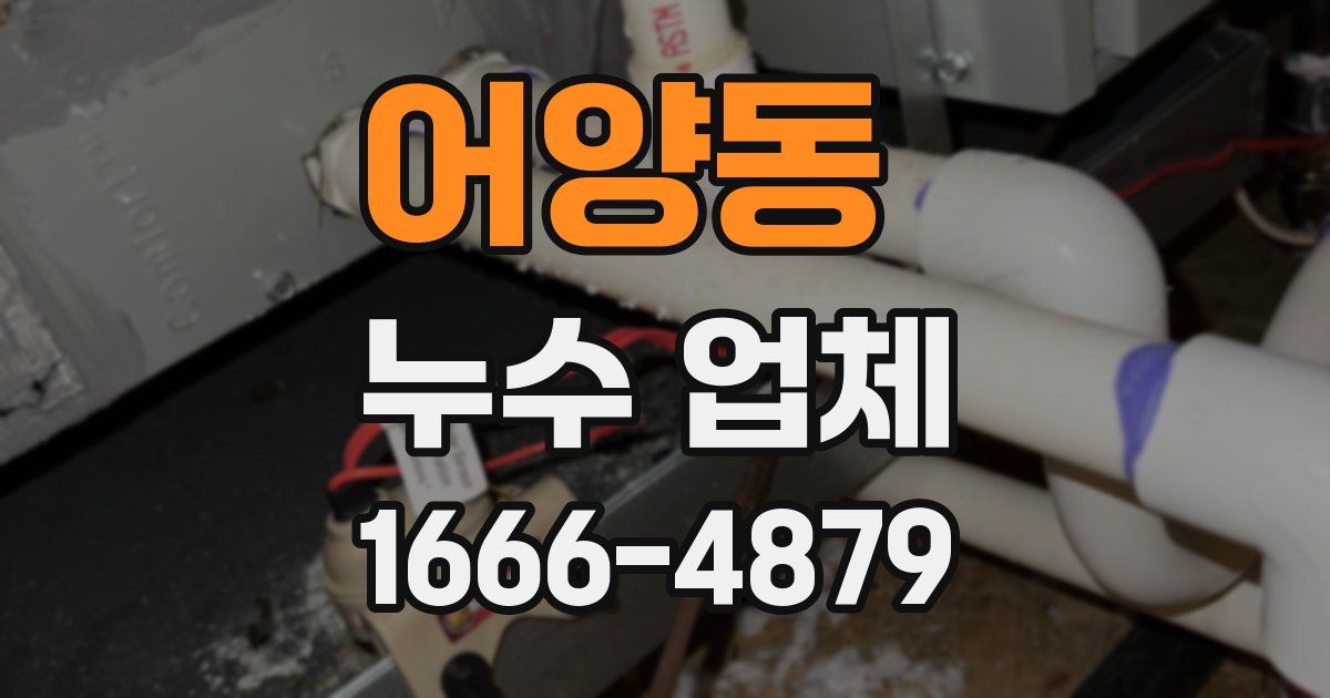 어양동 누수 업체