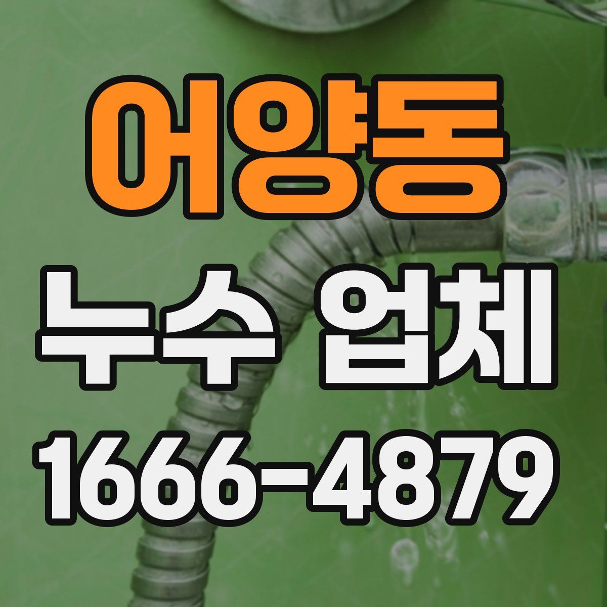 어양동 누수 업체