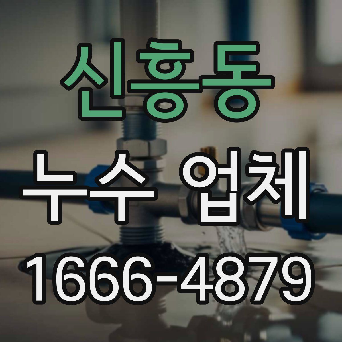 신흥동 누수 업체
