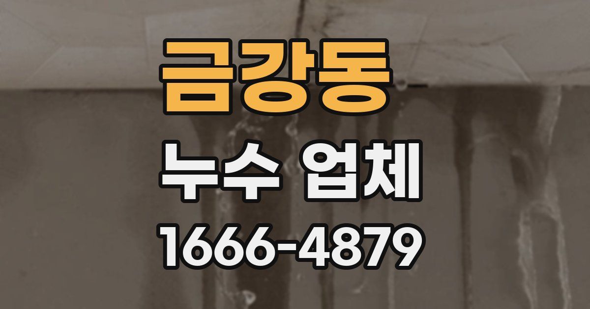 금강동 누수 업체