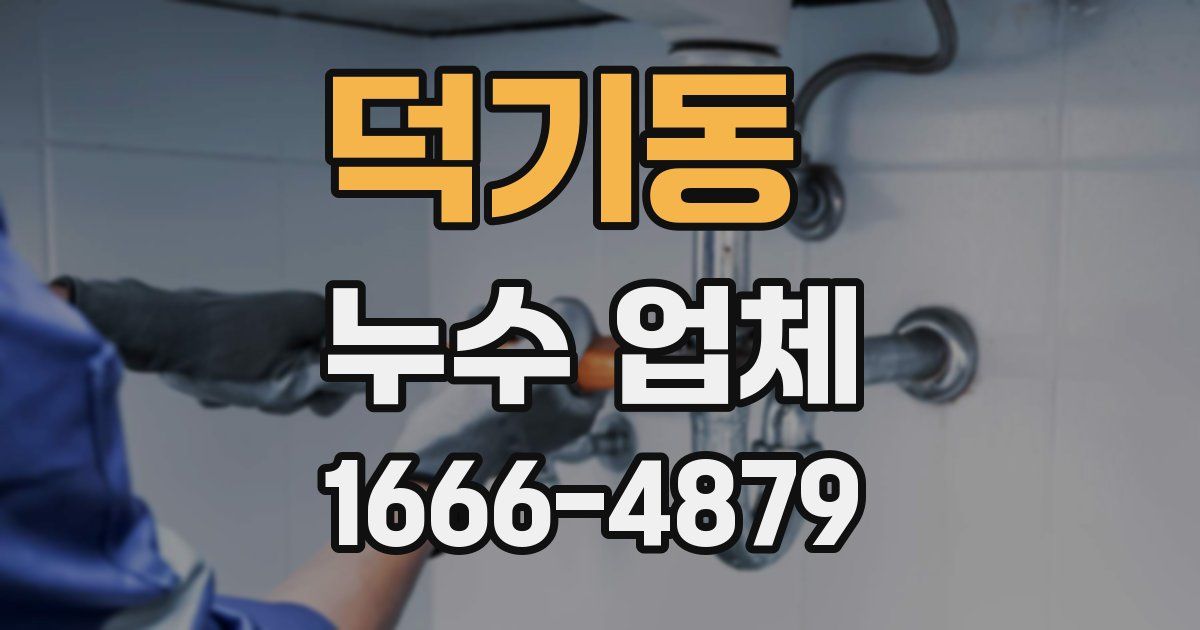 덕기동 누수 업체
