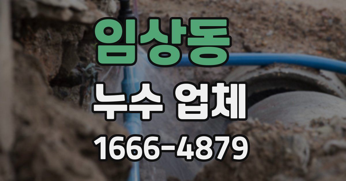 임상동 누수 업체