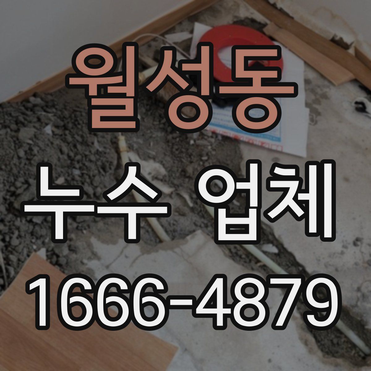 월성동 누수 업체