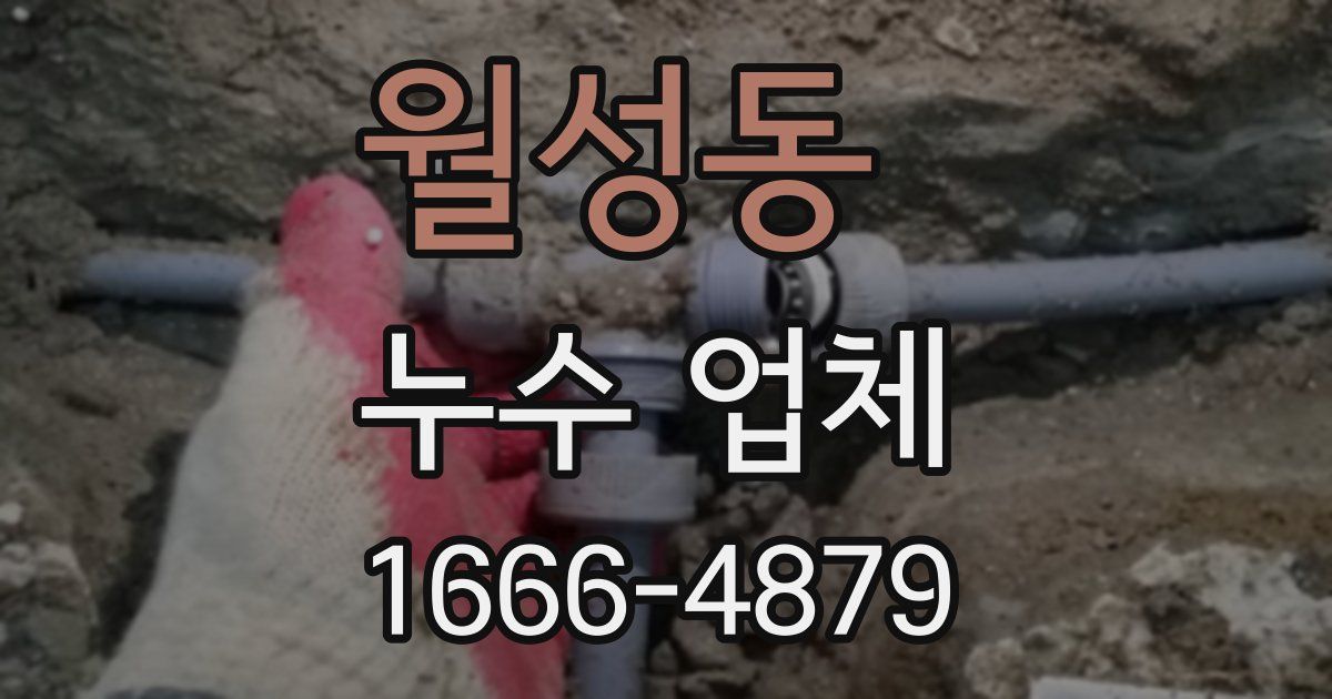 월성동 누수 업체