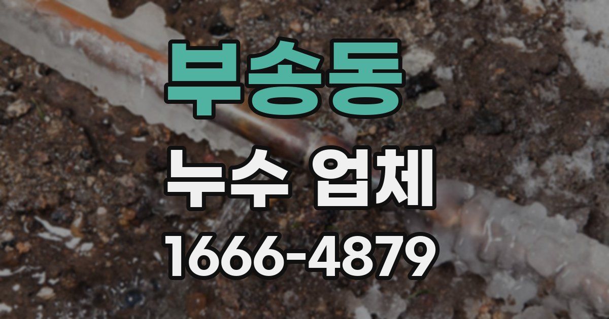 부송동 누수 업체