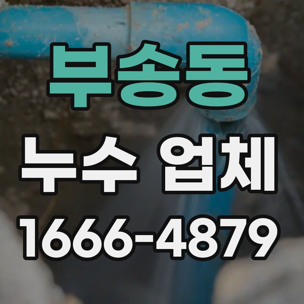 부송동 누수 업체