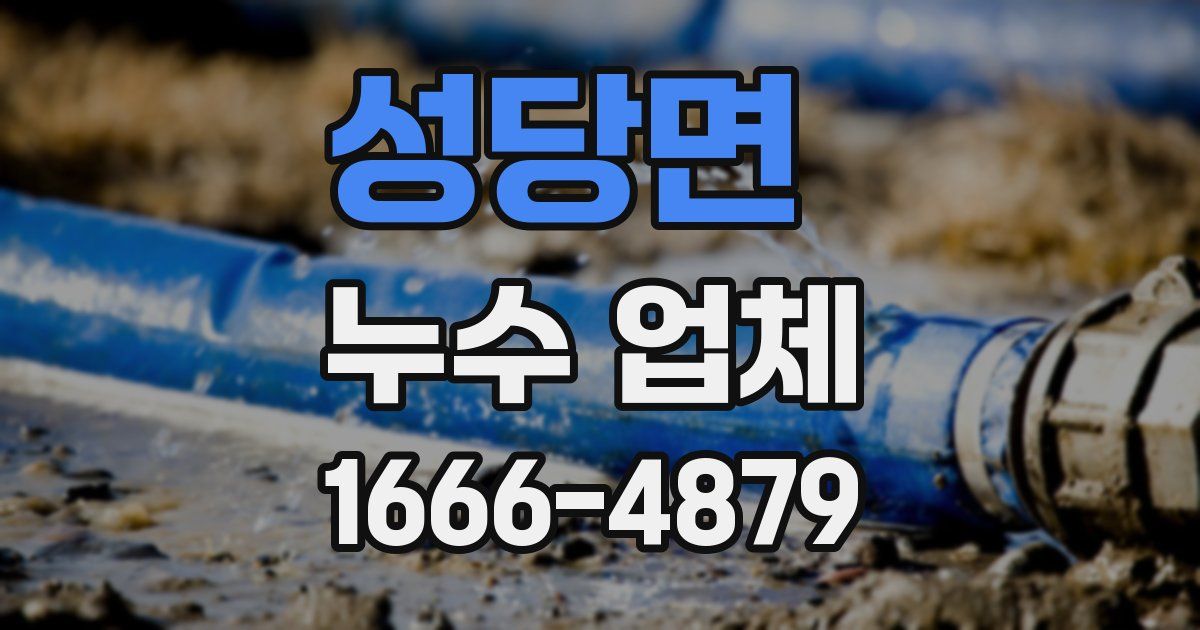 성당면 누수 업체