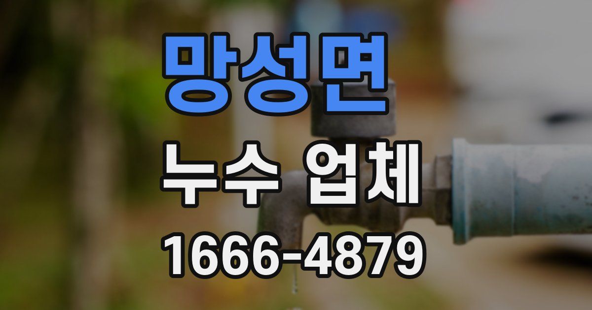 망성면 누수 업체