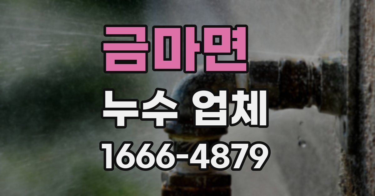 금마면 누수 업체
