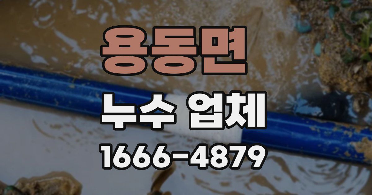 용동면 누수 업체