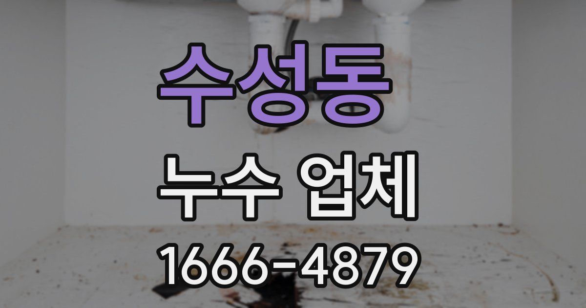 수성동 누수 업체