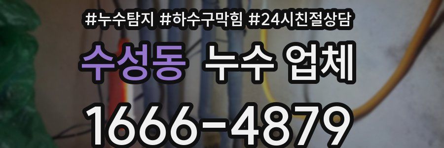 수성동 누수 업체