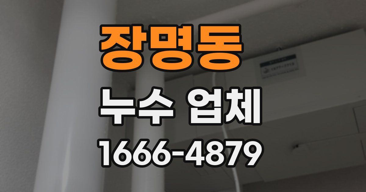 장명동 누수 업체