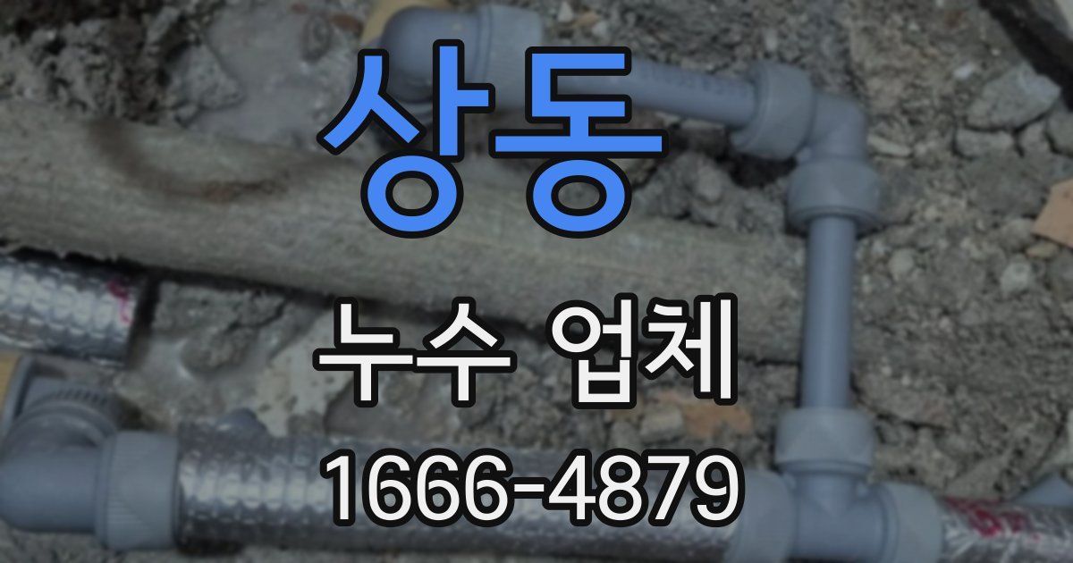 상동 누수 업체