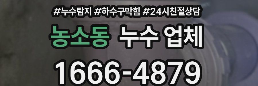 농소동 누수 업체