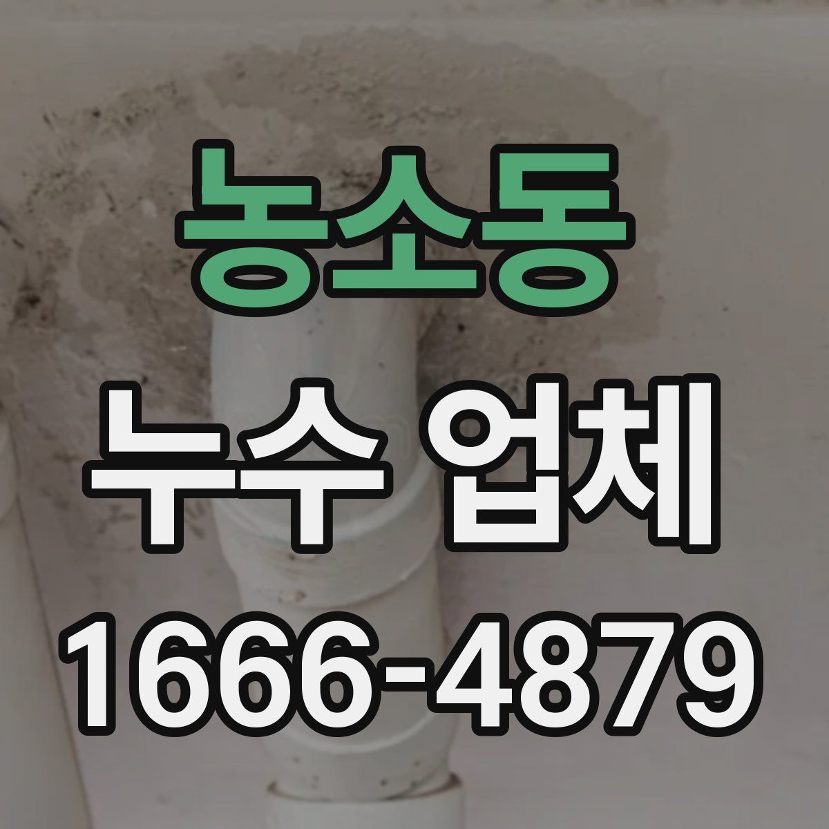 농소동 누수 업체