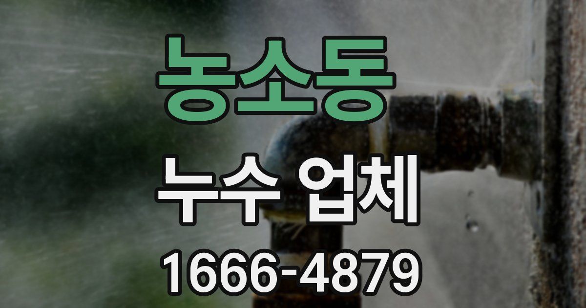 농소동 누수 업체