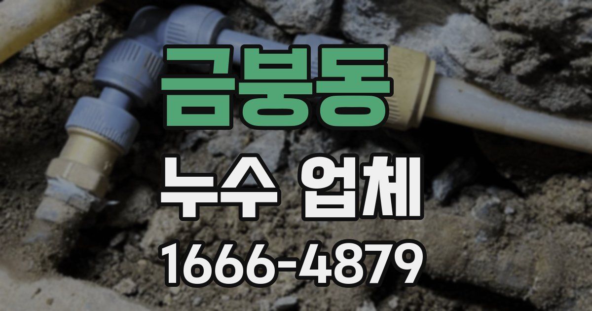 금붕동 누수 업체