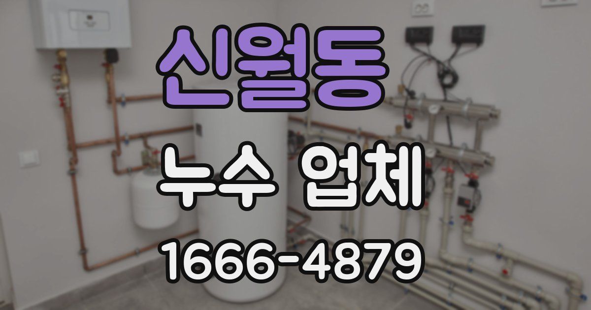 신월동 누수 업체