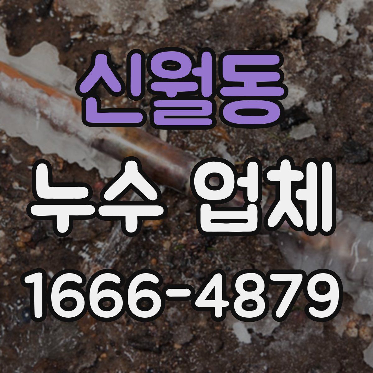 신월동 누수 업체