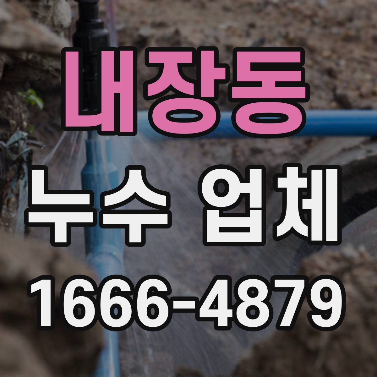 내장동 누수 업체