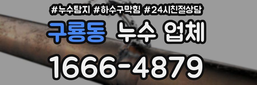 구룡동 누수 업체