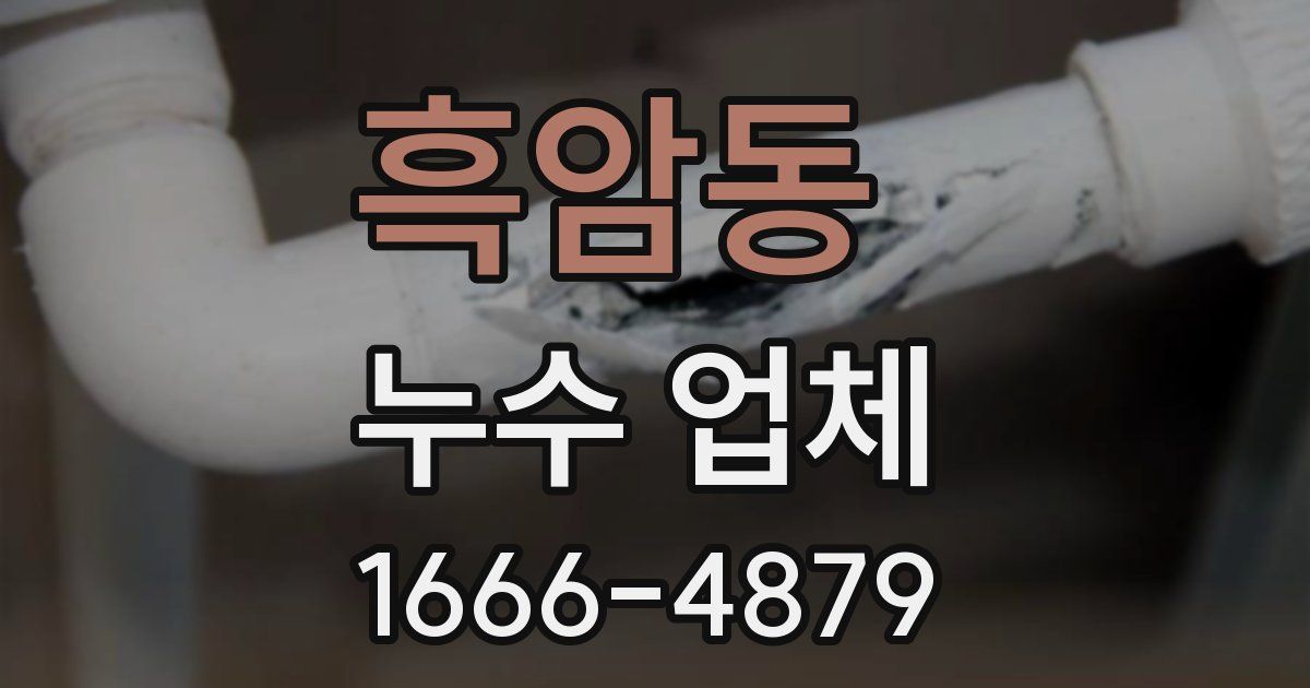 흑암동 누수 업체