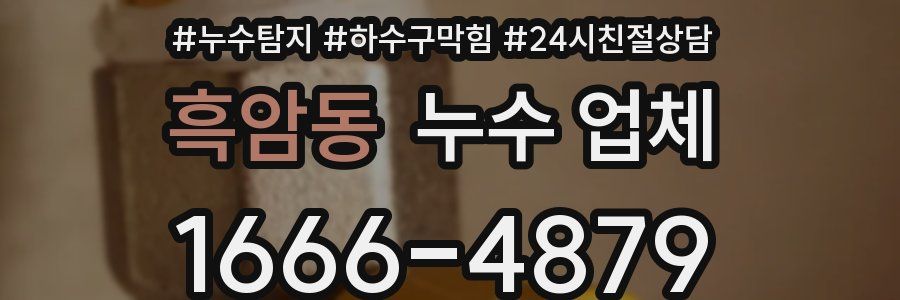 흑암동 누수 업체