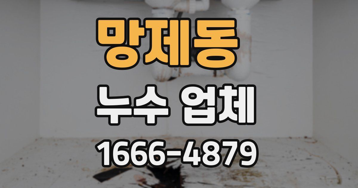 망제동 누수 업체