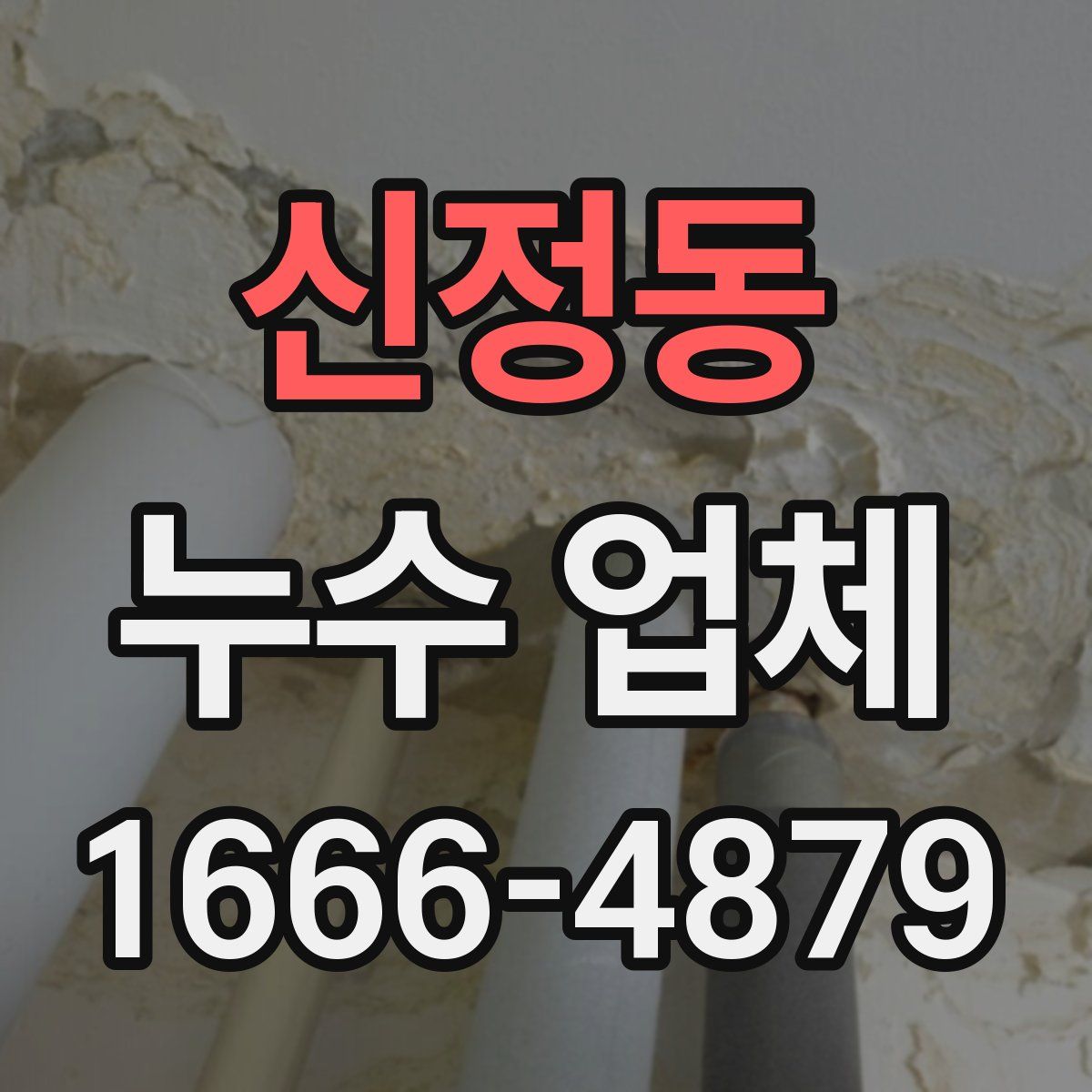 신정동 누수 업체