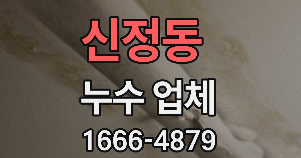 신정동 누수 업체