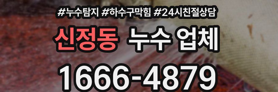 신정동 누수 업체