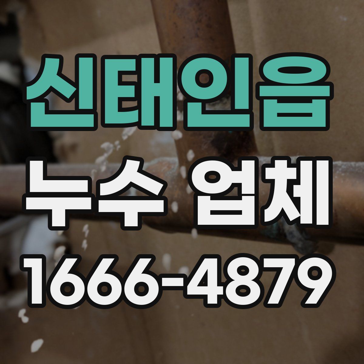 신태인읍 누수 업체