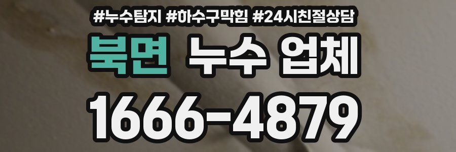북면 누수 업체