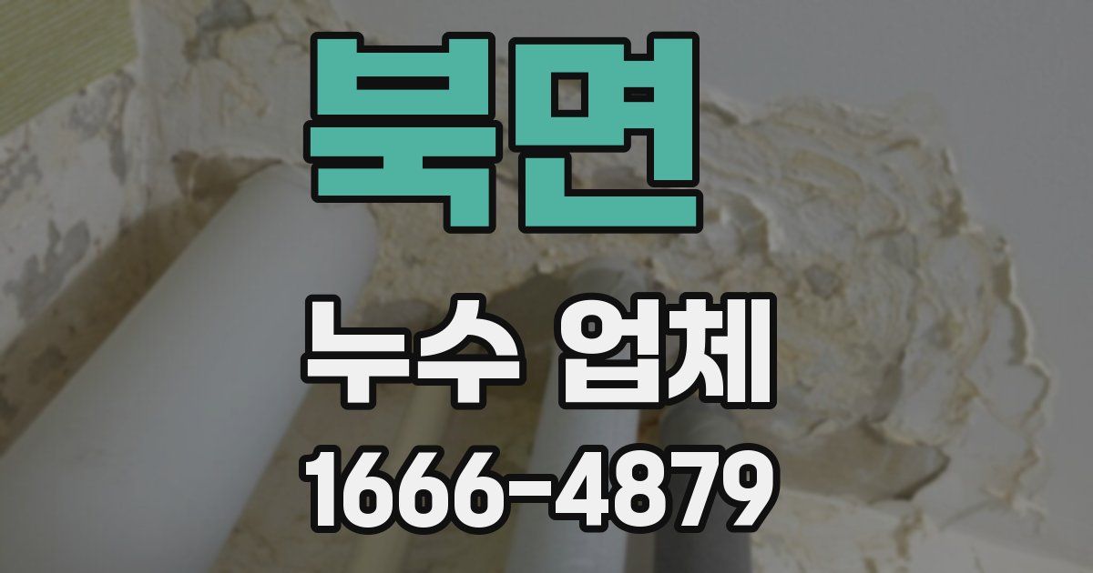 북면 누수 업체