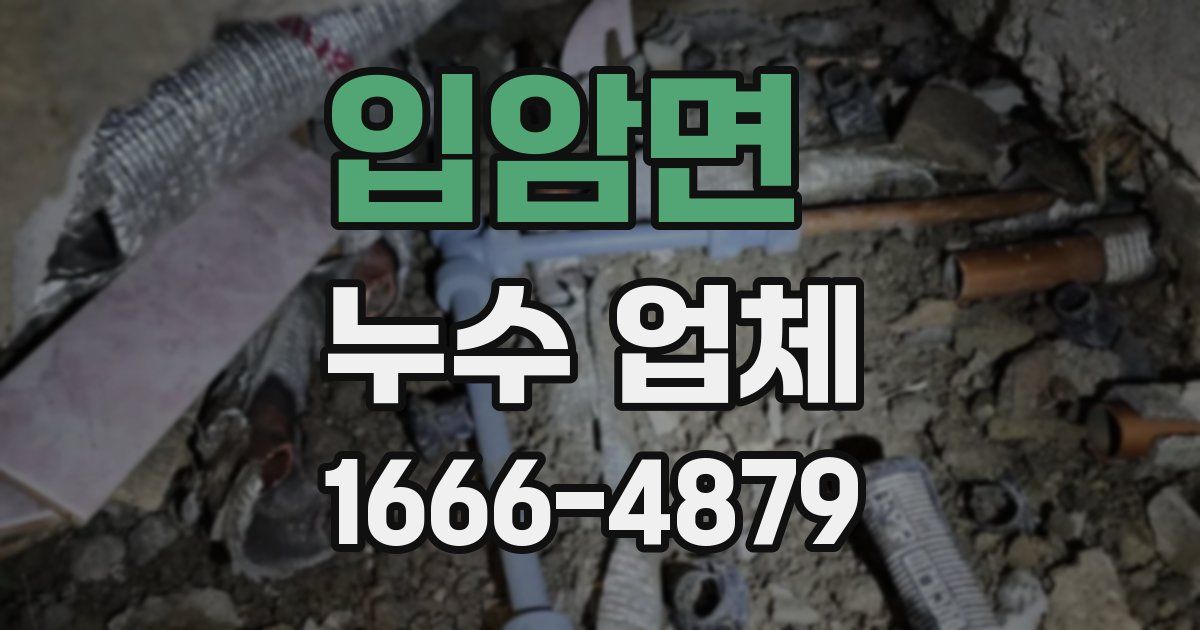 입암면 누수 업체
