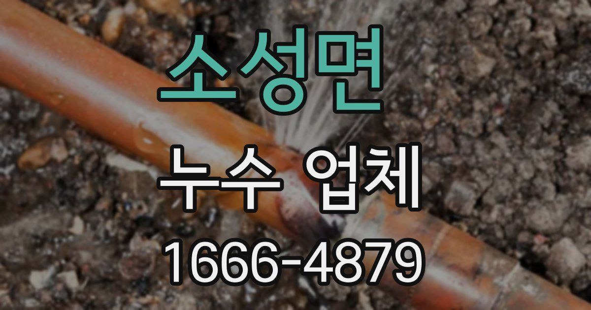 소성면 누수 업체