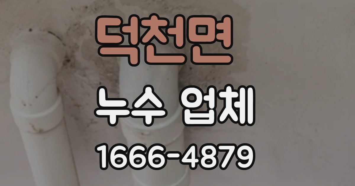 덕천면 누수 업체