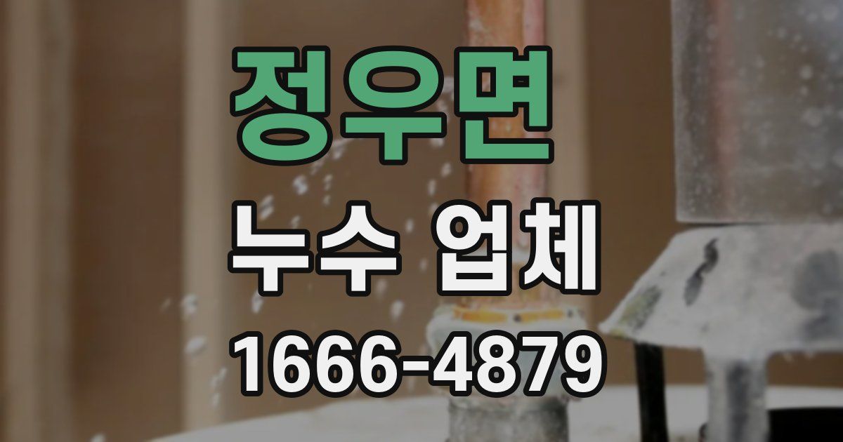 정우면 누수 업체