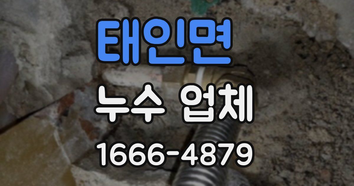 태인면 누수 업체
