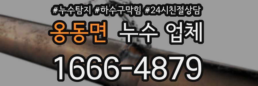 옹동면 누수 업체