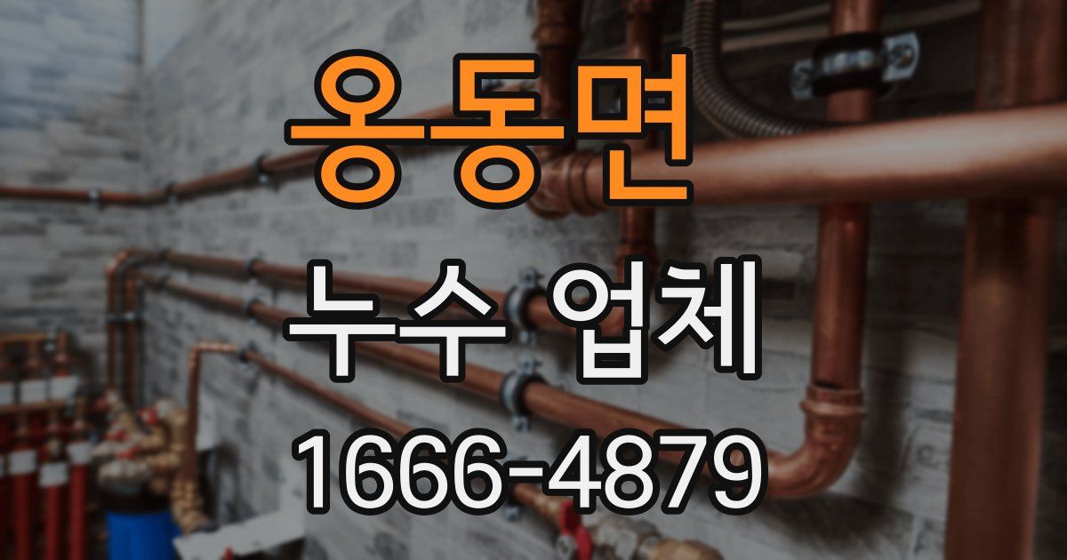 옹동면 누수 업체