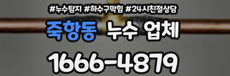 죽항동 누수 업체